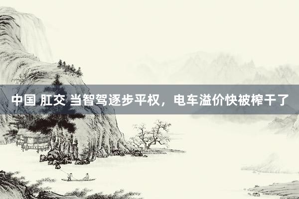 中国 肛交 当智驾逐步平权，电车溢价快被榨干了
