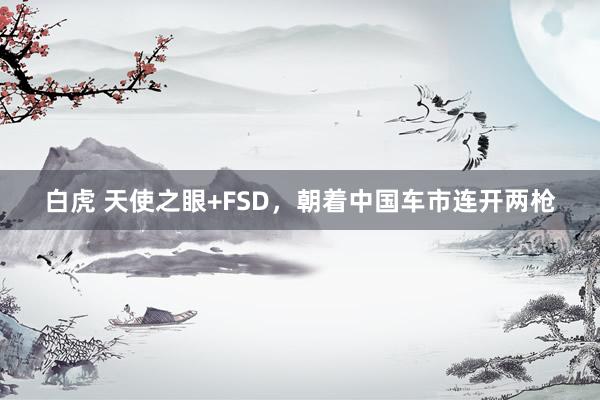 白虎 天使之眼+FSD，朝着中国车市连开两枪