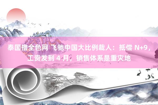 泰国撸全色网 飞驰中国大比例裁人：抵偿 N+9，工资发到 4 月，销售体系是重灾地