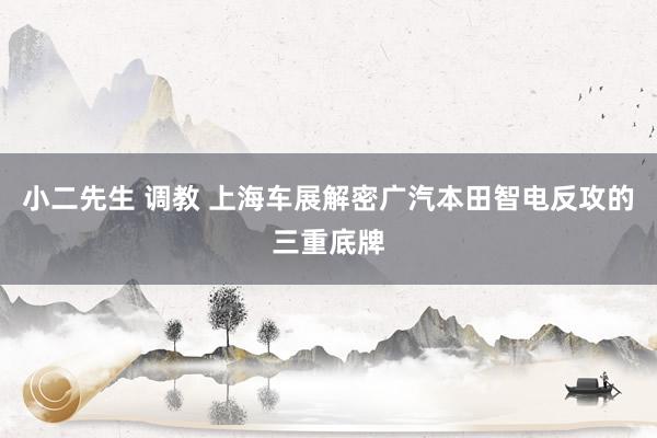 小二先生 调教 上海车展解密广汽本田智电反攻的三重底牌