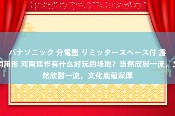 パナソニック 分電盤 リミッタースペース付 露出・半埋込両用形 河南焦作有什么好玩的场地？当然欣慰一流，文化底蕴深厚