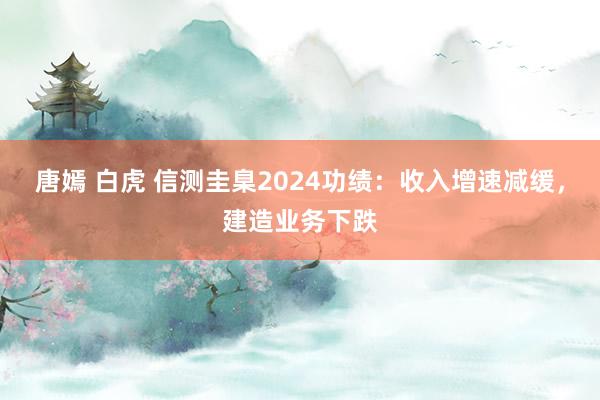 唐嫣 白虎 信测圭臬2024功绩：收入增速减缓，建造业务下跌