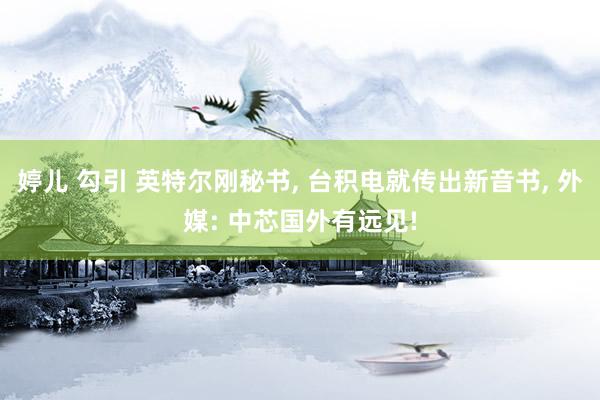 婷儿 勾引 英特尔刚秘书， 台积电就传出新音书， 外媒: 中芯国外有远见!