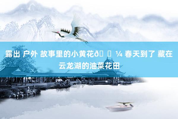 露出 户外 故事里的小黄花🌼 春天到了 藏在云龙湖的油菜花田