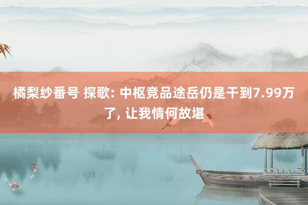 橘梨纱番号 探歌: 中枢竞品途岳仍是干到7.99万了， 让我情何故堪