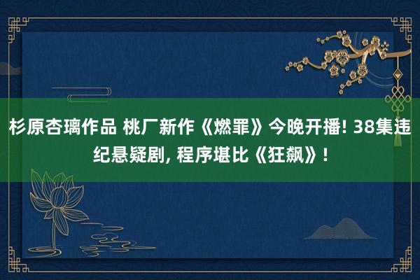 杉原杏璃作品 桃厂新作《燃罪》今晚开播! 38集违纪悬疑剧， 程序堪比《狂飙》!
