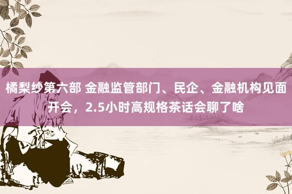 橘梨纱第六部 金融监管部门、民企、金融机构见面开会，2.5小时高规格茶话会聊了啥